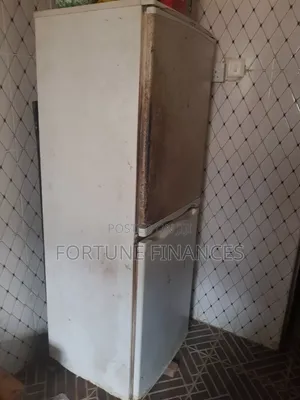Standing Fridge for Sale