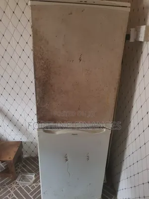 Standing Fridge for Sale