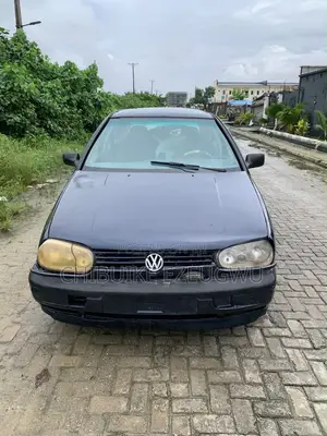 Volkswagen Golf 1999 Blue