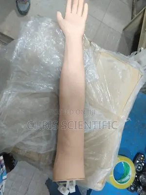 Arm Model Simulator