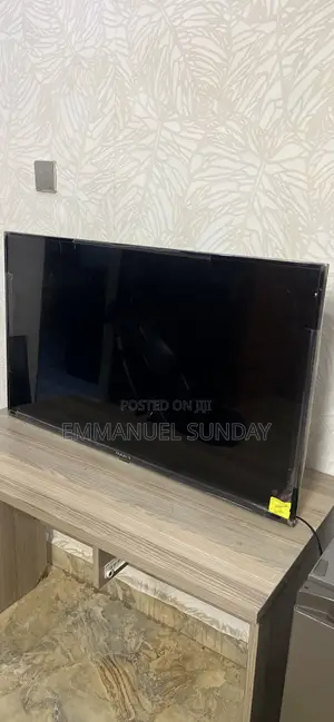 Maxi Television