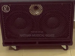 Eden Bass Guitar