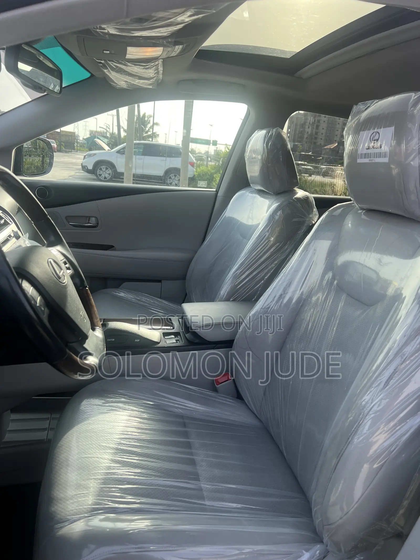Lexus RX 2010 Gray