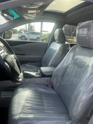 Lexus RX 2010 Gray