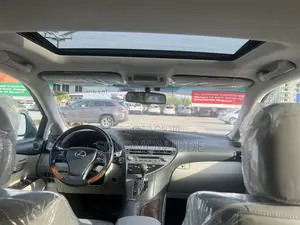 Lexus RX 2010 Gray