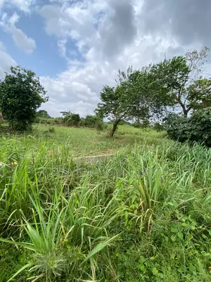 2 Plots of Lands in an Already Developed Area 