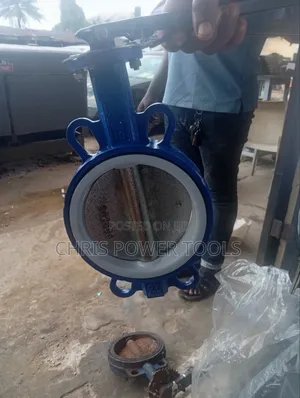 Butterfly Valve