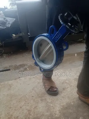 Butterfly Valve