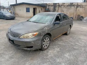 Toyota Camry LE 4dr Sedan (2.4L 4cyl 5M) 2002 Gray