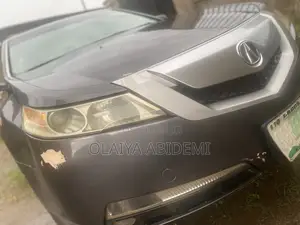 Acura TL 2010 Gray