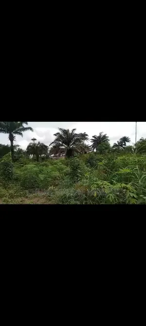 Affordable 6 Plots in Omademe, Rivers State – Ready Documents