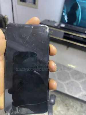 Apple iPhone 11 256 GB Gray