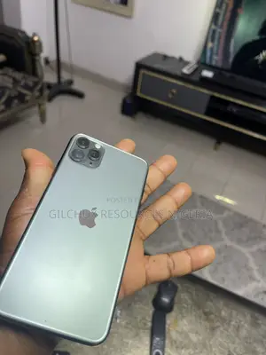 Apple iPhone 11 256 GB Gray