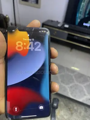 Apple iPhone 11 256 GB Gray