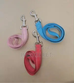 Reflective Nylon Lead 2.5*120cm