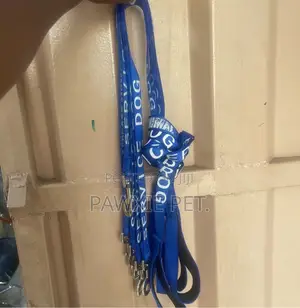 Service Dog Padded Handle Lead 2.5*120cm