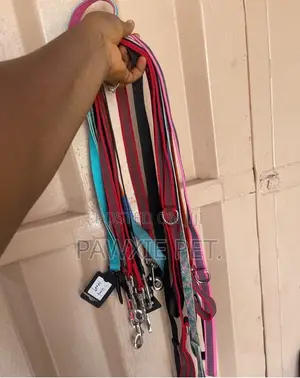Variety Nylon Lead 2.0*120cm