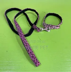 Dog Favour Tiger Design Collar and Lead 1.5*120cm