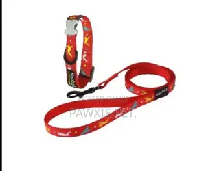 Nunbell Pet Collar and Lead 1.5*120cm