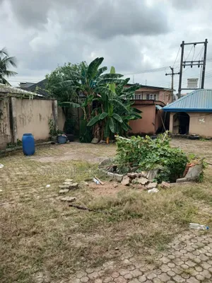 Sweet 30ft by 100ft Half Plot Off College Road Ogba.N87m Net