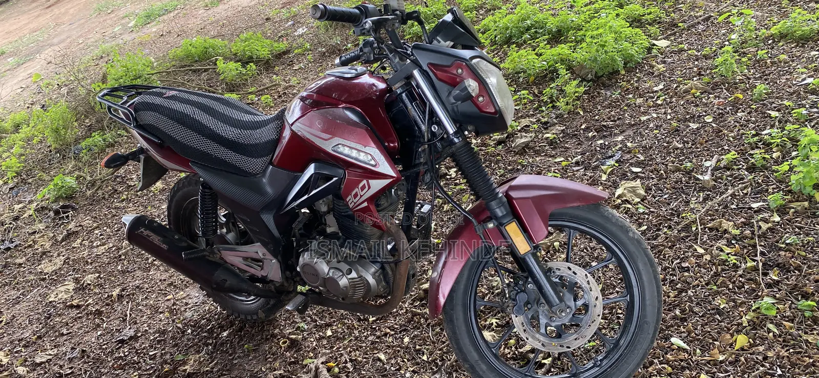 Qlink XP 200 2024 Red