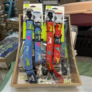 Nunbell Pet Collar and Lead 2.5*120/30-40cm