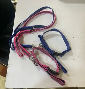 Strong Lead and Adjustable Collar 2.5*120cm