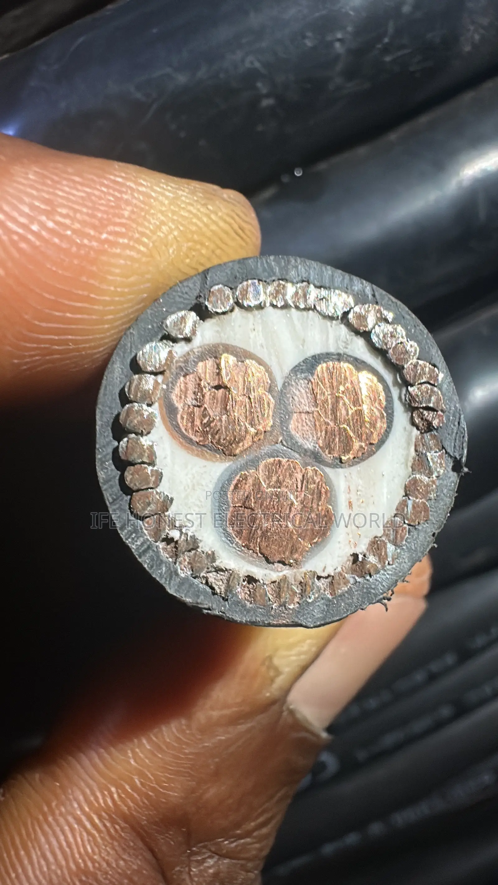 16mmx3core Armored Cable