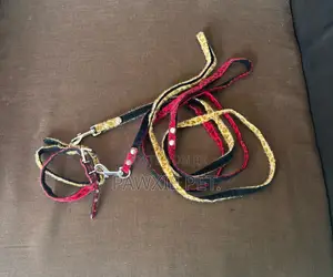Tiger Design Collar N Lead 1.0*120cm
