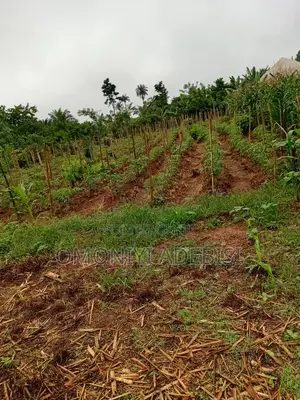 Two Plots of Land for Sale at Italorun Idanre Very Close to Omodara