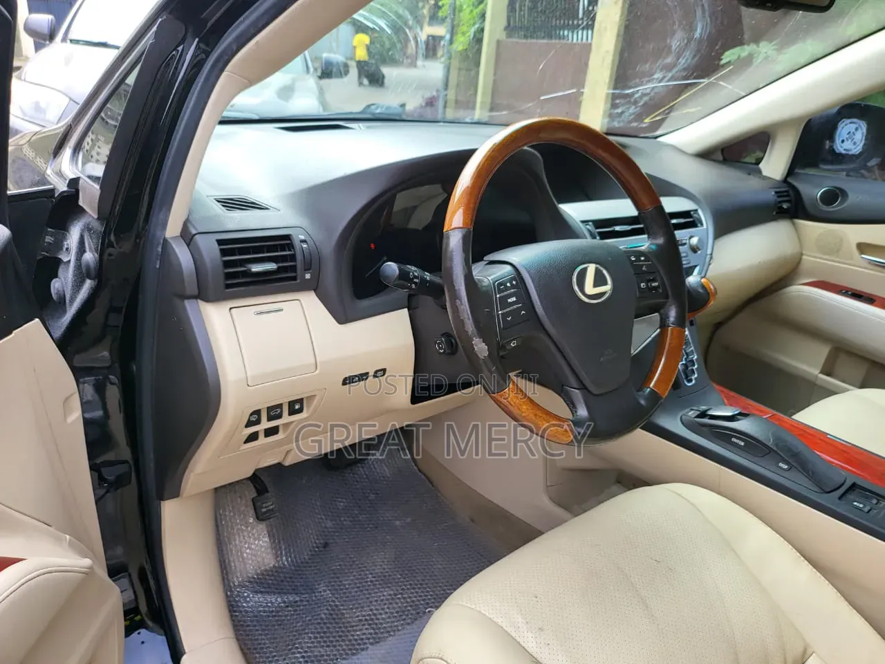 Lexus RX 2010 Blue