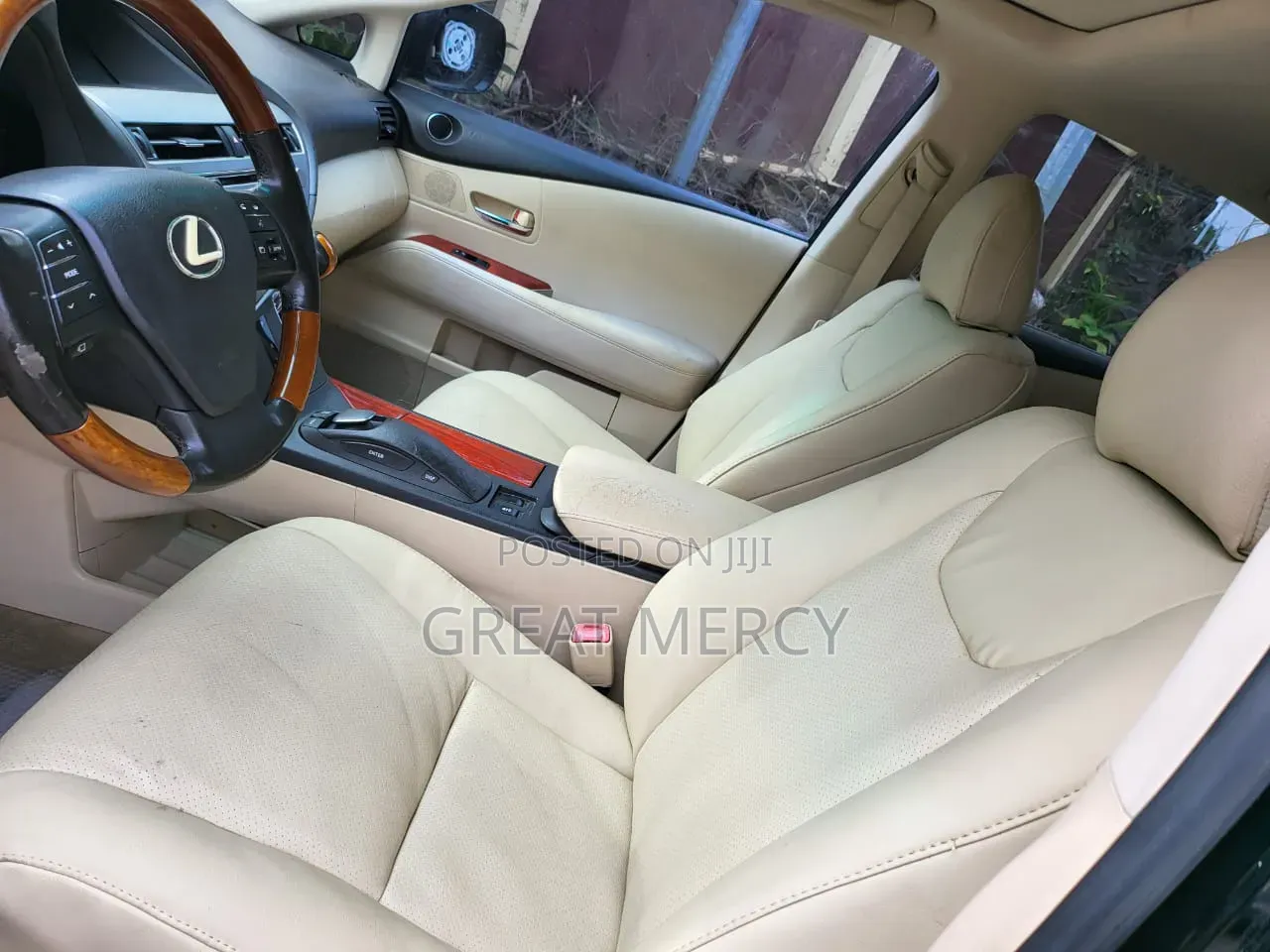 Lexus RX 2010 Blue
