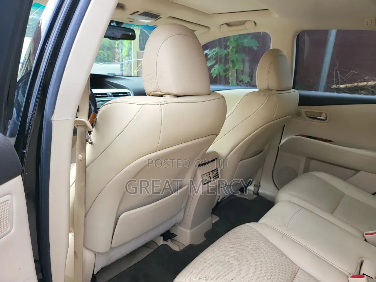Lexus RX 2010 Blue
