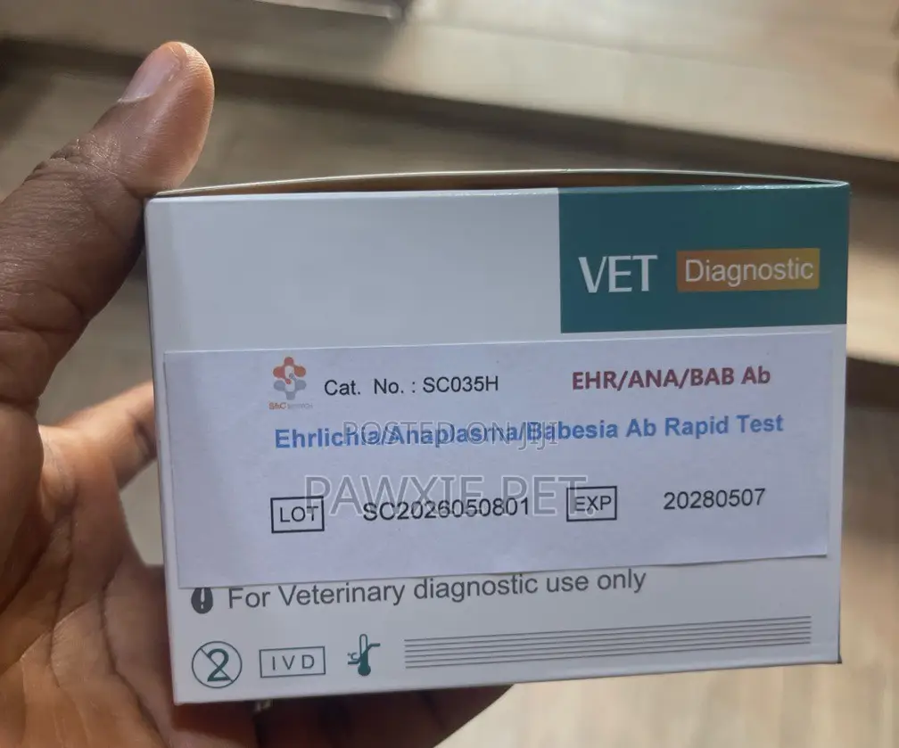 Antibody Rapid Test Per Test Strip