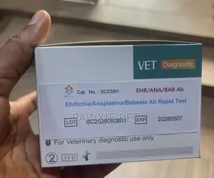 Antibody Rapid Test Per Test Strip