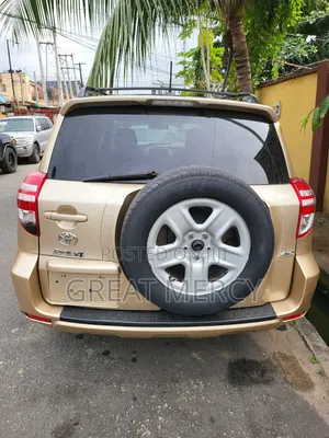 Toyota RAV4 2010 Gold