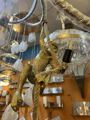 Asthetic Monkey Light