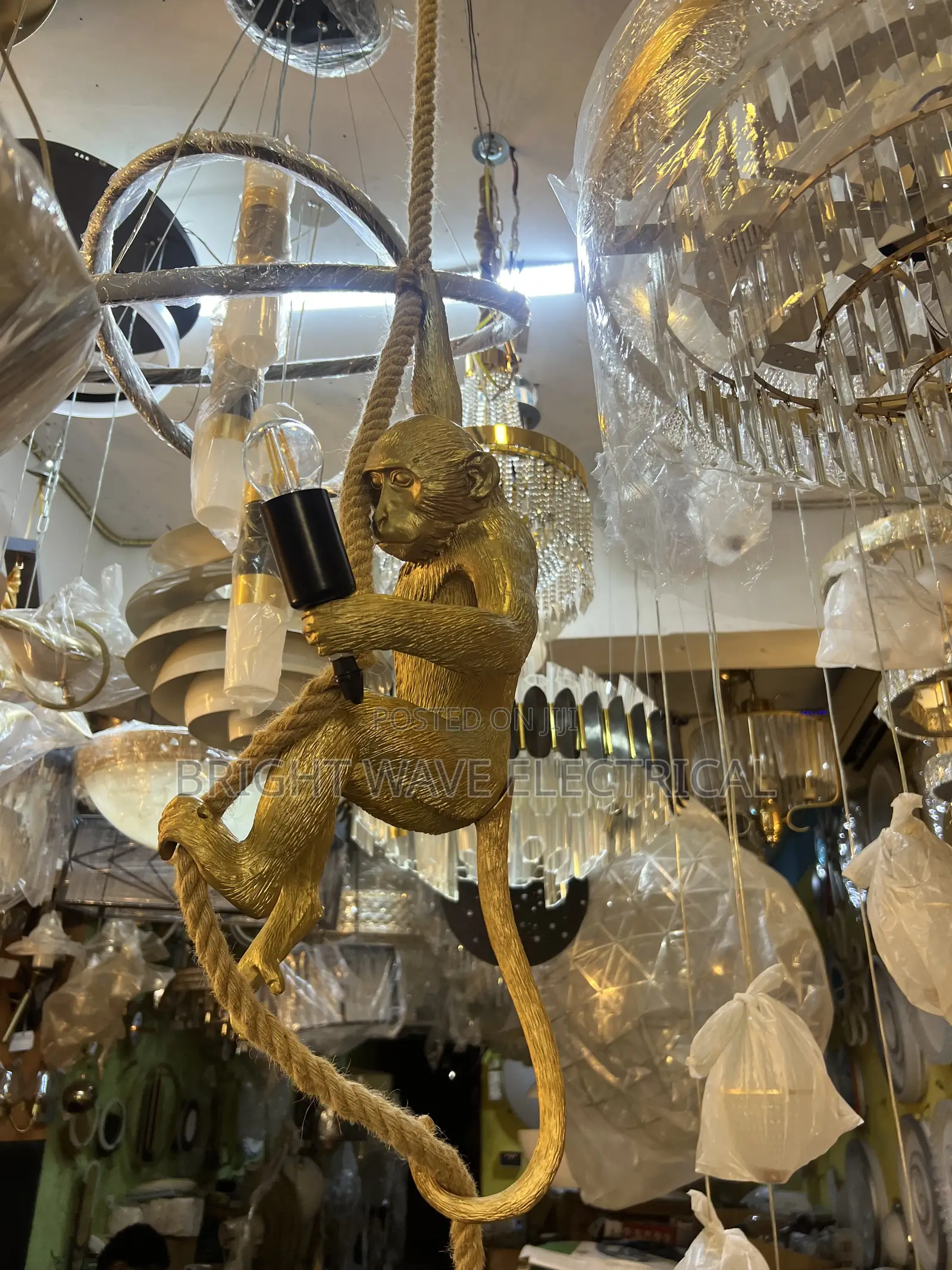 Asthetic Monkey Light