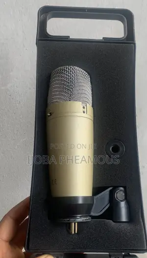 Microphone