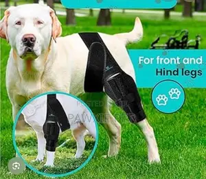 Leg Braces for Joint Support for Big Breeds