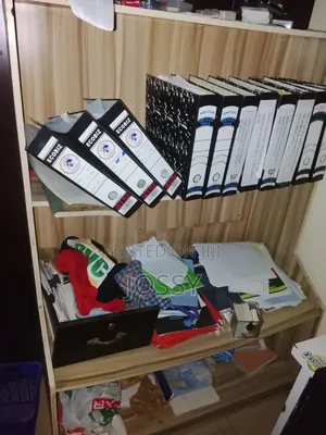 Large Office Storage Cabinet / Filing Cabinet With Shelves