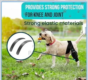 Leg Braces for Joint Support for Small Breeds