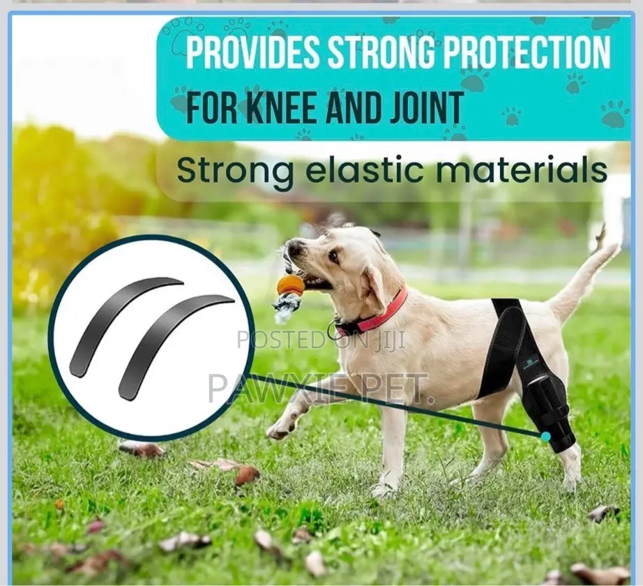 Leg Braces for Joint Support for Small Breeds