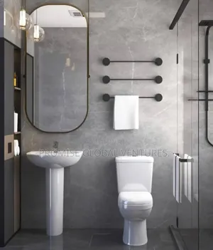 High Quality Water Closet