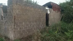 Land Property
