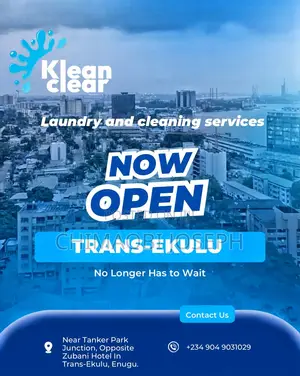 Professional Laundry and Cleaning Services