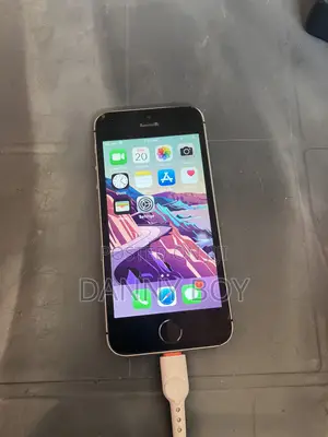 Apple iPhone SE 16 GB Gray