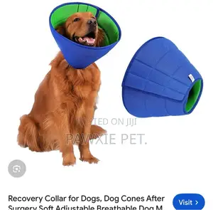 Soft Padded Recovery E Collar Cone for Large Dogs