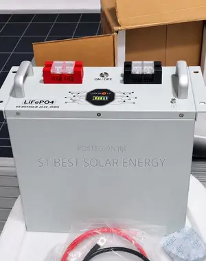 3kwh /24v Lithium Ion Battery (Luxwatt)