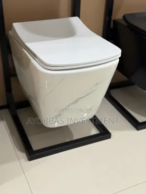 Concealed Wc